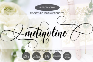 Metinoline Script: A Fresh Take on Modern Typography